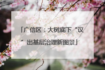 广信区：大树底下“议”出基层治理新图景