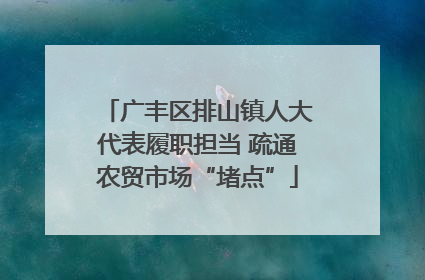广丰区排山镇人大代表履职担当 疏通农贸市场“堵点”