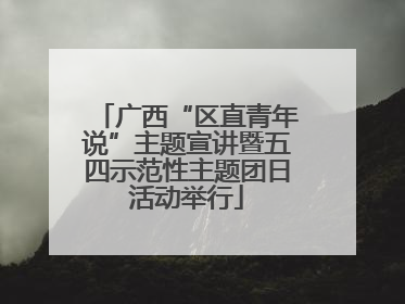 广西“区直青年说”主题宣讲暨五四示范性主题团日活动举行