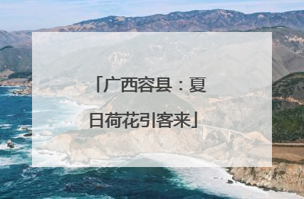 广西容县：夏日荷花引客来