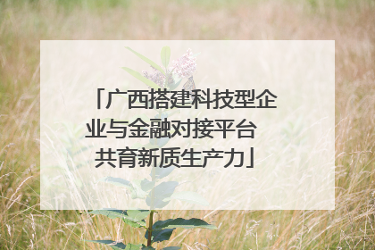 广西搭建科技型企业与金融对接平台 共育新质生产力