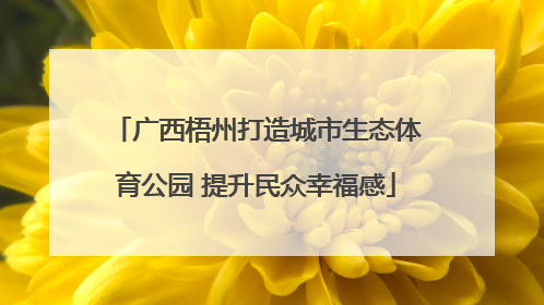 广西梧州打造城市生态体育公园 提升民众幸福感