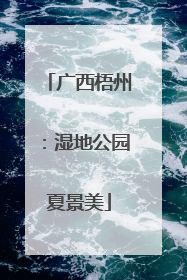 广西梧州：湿地公园夏景美