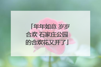 年年如意 岁岁合欢 石家庄公园的合欢花又开了
