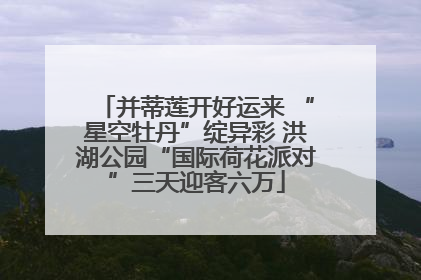 并蒂莲开好运来 “星空牡丹”绽异彩 洪湖公园“国际荷花派对”三天迎客六万