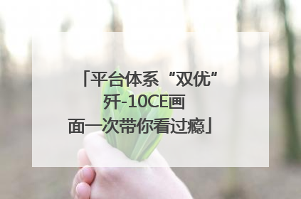 平台体系“双优”  歼-10CE画面一次带你看过瘾