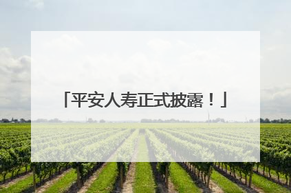 平安人寿正式披露！