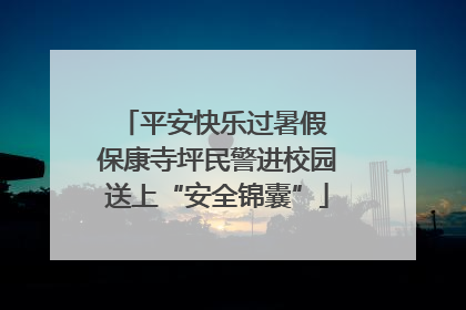平安快乐过暑假 保康寺坪民警进校园送上“安全锦囊”
