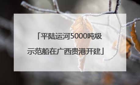 平陆运河5000吨级示范船在广西贵港开建
