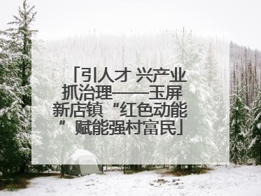 引人才 兴产业 抓治理——玉屏新店镇“红色动能”赋能强村富民