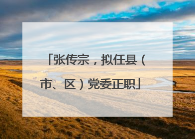 张传宗，拟任县（市、区）党委正职
