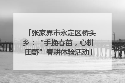 张家界市永定区桥头乡：“手挽春苗，心耕田野”春耕体验活动