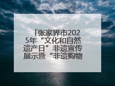 张家界市2025年“文化和自然遗产日”非遗宣传展示暨“非遗购物节”活动在慈利县盛大启幕