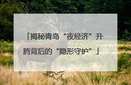 揭秘青岛“夜经济”升腾背后的“隐形守护”