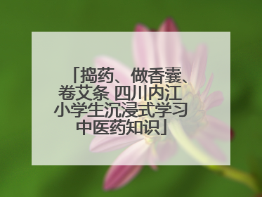 捣药、做香囊、卷艾条 四川内江小学生沉浸式学习中医药知识