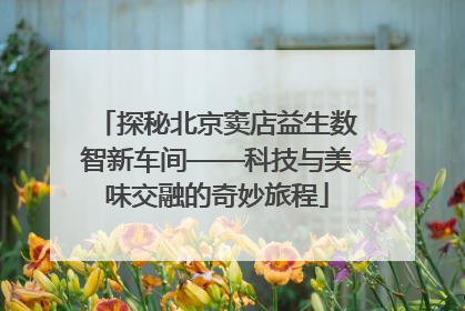 探秘北京窦店益生数智新车间——科技与美味交融的奇妙旅程