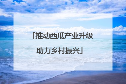 推动西瓜产业升级 助力乡村振兴