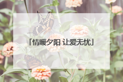 情暖夕阳 让爱无忧