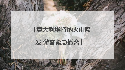意大利埃特纳火山喷发 游客紧急撤离