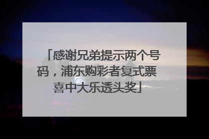 感谢兄弟提示两个号码，浦东购彩者复式票喜中大乐透头奖