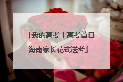 我的高考丨高考首日 海南家长花式送考
