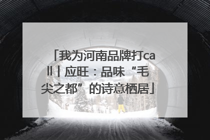 我为河南品牌打call丨应旺：品味“毛尖之都”的诗意栖居
