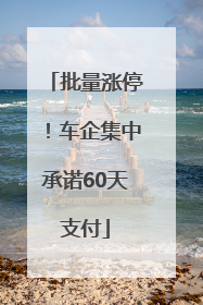 批量涨停！车企集中承诺60天支付