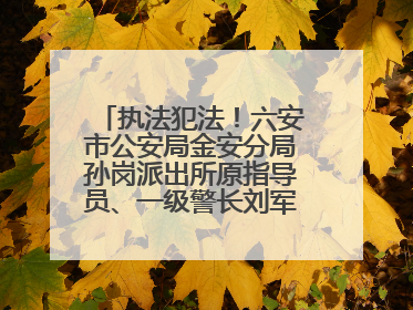 执法犯法！六安市公安局金安分局孙岗派出所原指导员、一级警长刘军被“双开”