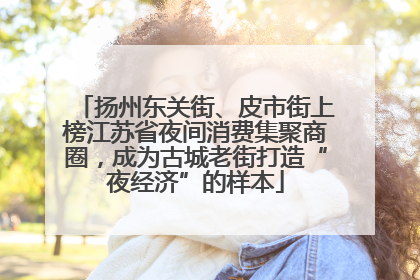 扬州东关街、皮市街上榜江苏省夜间消费集聚商圈，成为古城老街打造“夜经济”的样本
