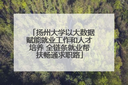 扬州大学以大数据赋能就业工作和人才培养 全链条就业帮扶畅通求职路