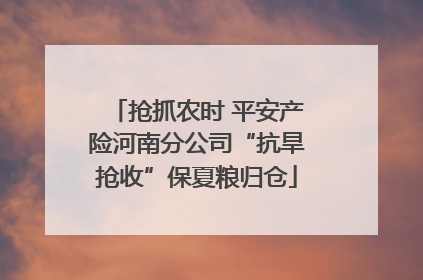 抢抓农时 平安产险河南分公司“抗旱抢收”保夏粮归仓