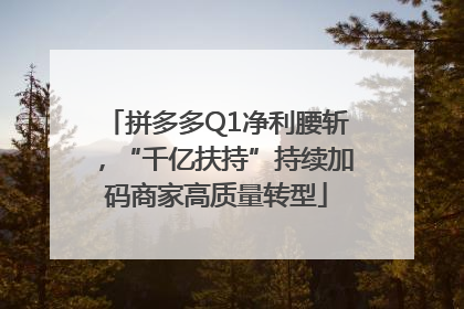 拼多多Q1净利腰斩，“千亿扶持”持续加码商家高质量转型