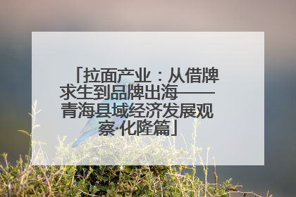 拉面产业：从借牌求生到品牌出海——青海县域经济发展观察·化隆篇