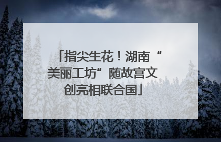 指尖生花！湖南“美丽工坊”随故宫文创亮相联合国