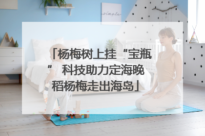 杨梅树上挂“宝瓶” 科技助力定海晚稻杨梅走出海岛