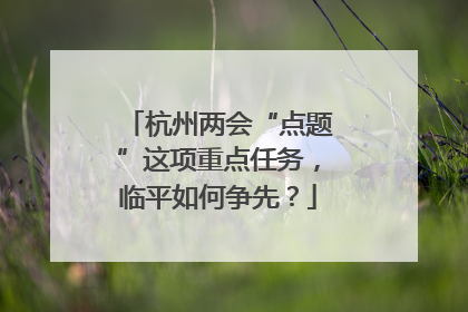 杭州两会“点题”这项重点任务，临平如何争先？