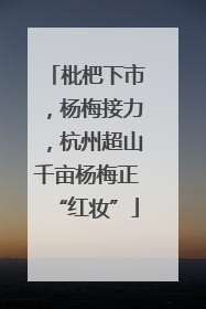 枇杷下市，杨梅接力，杭州超山千亩杨梅正“红妆”