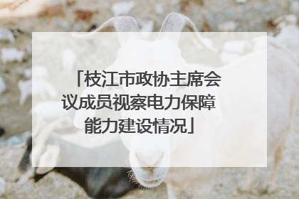 枝江市政协主席会议成员视察电力保障能力建设情况