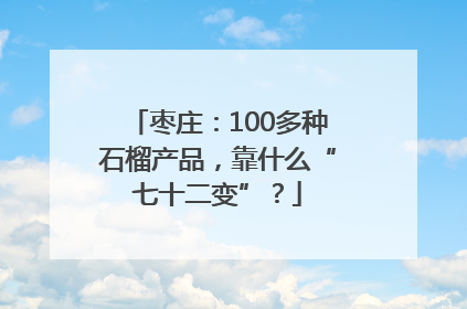 枣庄：100多种石榴产品，靠什么“七十二变”？