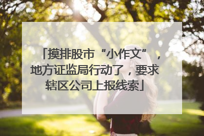 摸排股市“小作文”，地方证监局行动了，要求辖区公司上报线索