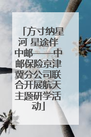 方寸纳星河 星途伴中邮——中邮保险京津冀分公司联合开展航天主题研学活动