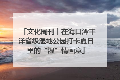 文化周刊丨在海口潭丰洋省级湿地公园打卡夏日里的“湿”情画意