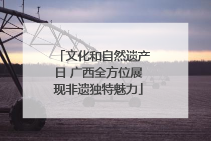 文化和自然遗产日 广西全方位展现非遗独特魅力