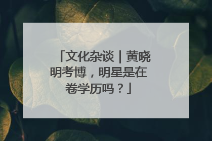 文化杂谈｜黄晓明考博，明星是在卷学历吗？