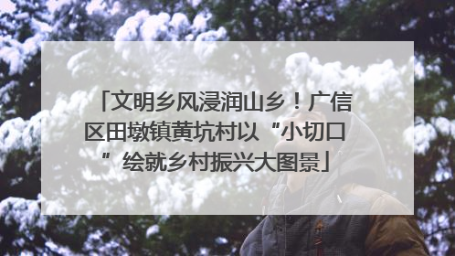 文明乡风浸润山乡！广信区田墩镇黄坑村以“小切口”绘就乡村振兴大图景