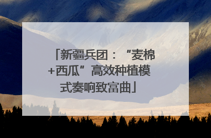 新疆兵团：“麦棉+西瓜”高效种植模式奏响致富曲