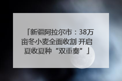 新疆阿拉尔市：38万亩冬小麦全面收割 开启夏收夏种“双重奏”