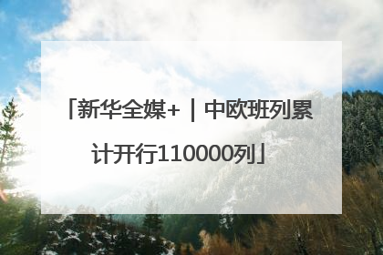 新华全媒+｜中欧班列累计开行110000列