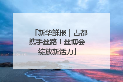 新华鲜报｜古都携手丝路！丝博会绽放新活力