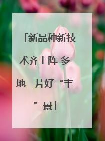 新品种新技术齐上阵 多地一片好“丰”景